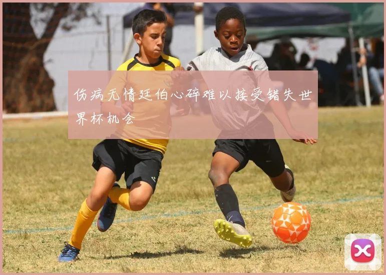 伤病无情廷伯心碎难以接受错失世界杯机会